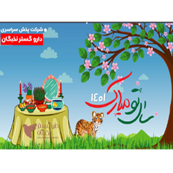 انیمیشن تبریک سال نو دارو گستر نخبگان