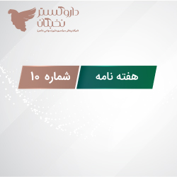 هفته نامه شماره 10