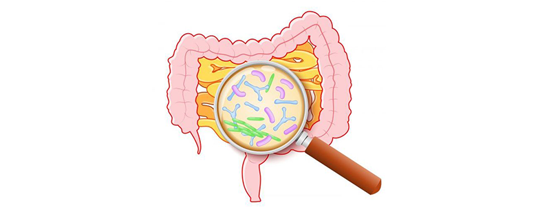 از کجا بفهمیم کبدمون چربه؟