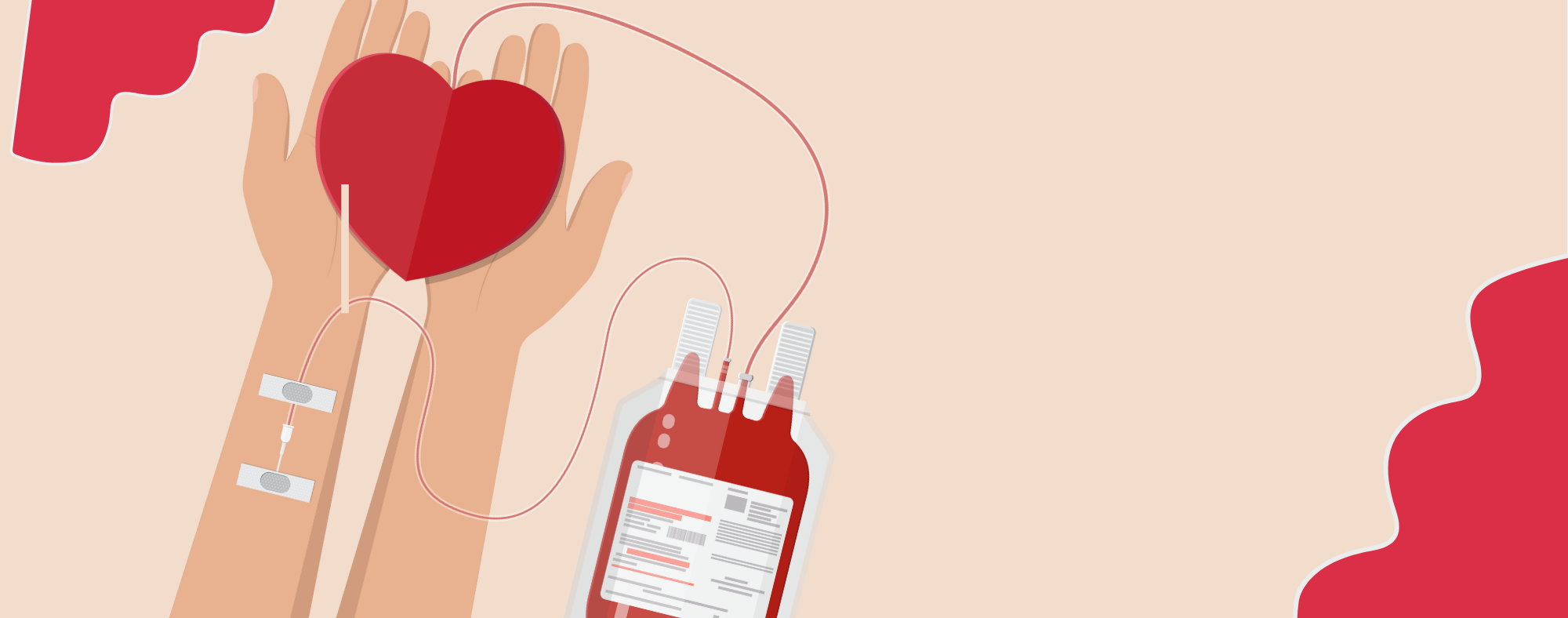 علت و علائم بیماری کم خونی